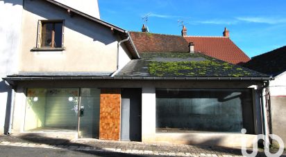 Townhouse 5 rooms of 240 m² in Ouzouer-sur-Trézée (45250)