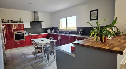 House 11 rooms of 327 m² in Saint-Jean-Pla-de-Corts (66490)