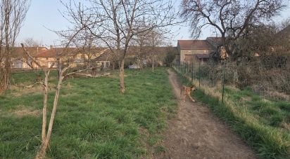 Maison 9 pièces de 213 m² à Merles-sur-Loison (55150)