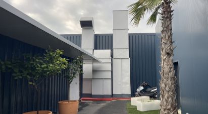 Commercial walls of 600 m² in Argeliers (11120)